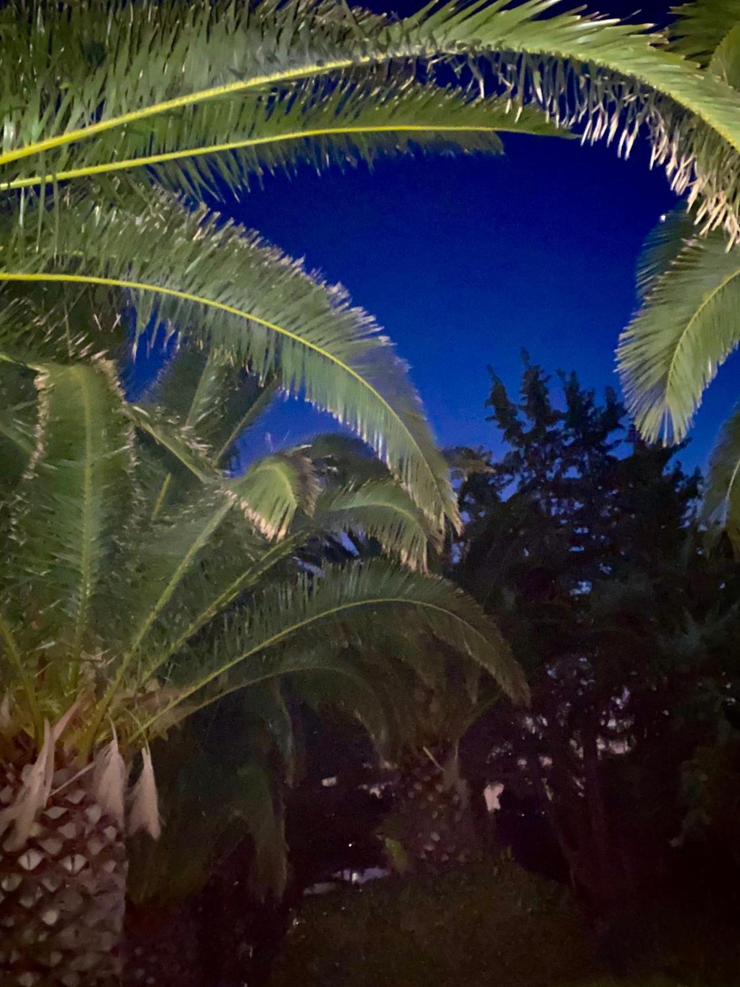 Hotel I Ginepri Quartucciu Bagian luar foto